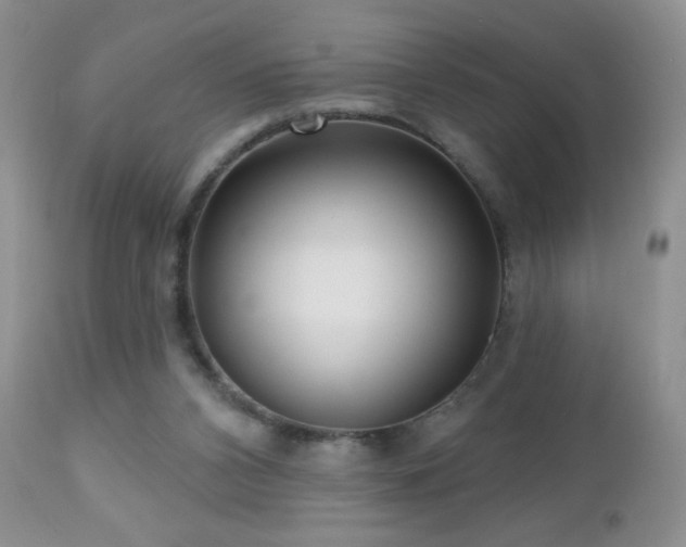 X0000112460112200908171212
