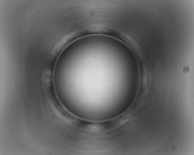 X0000112460115200908171212