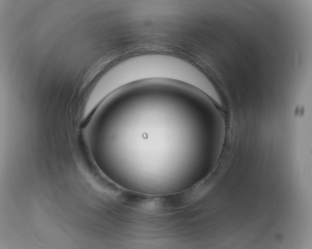 X0000112460116200908171212