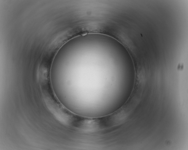 X0000112460117200908171212