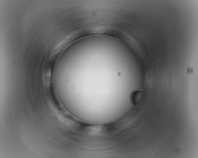 X0000112460118200908171212