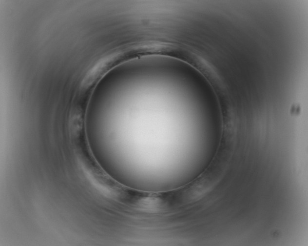 X0000112460119200908171212