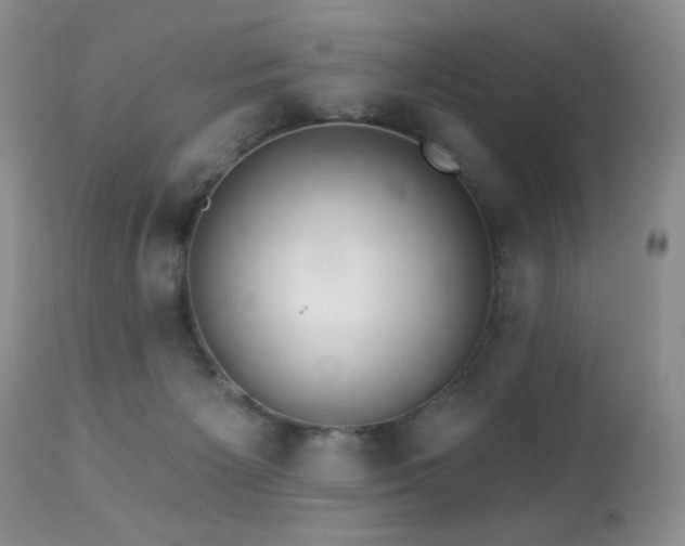 X0000112460125200908171212