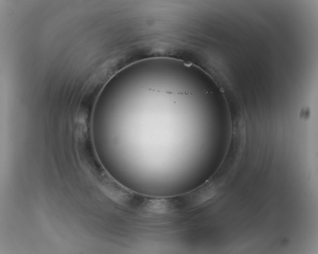X0000112460127200908171212