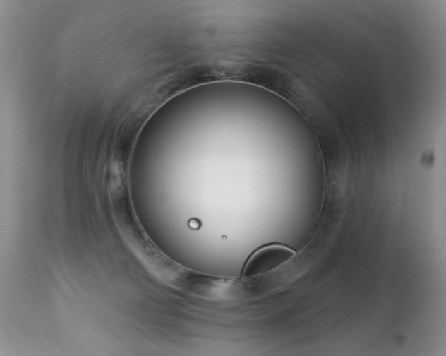 X0000112460130200908171212