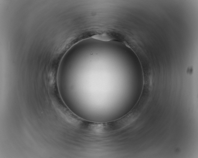 X0000112460131200908171212