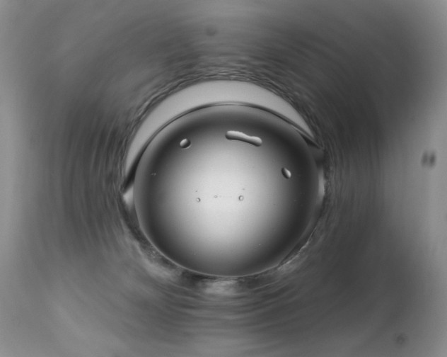 X0000112460132200908171212