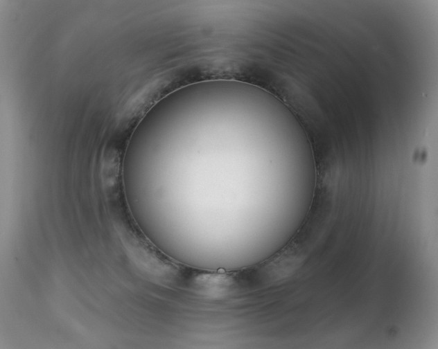 X0000112460133200908171212