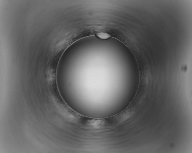 X0000112460135200908171212