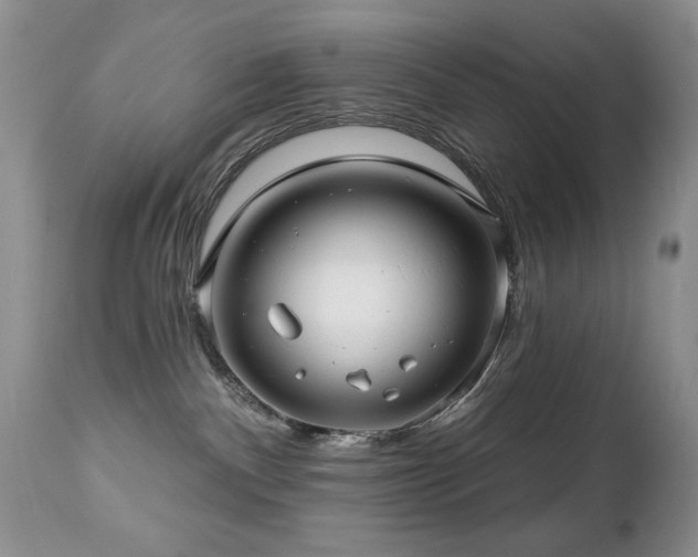 X0000112460140200908171212