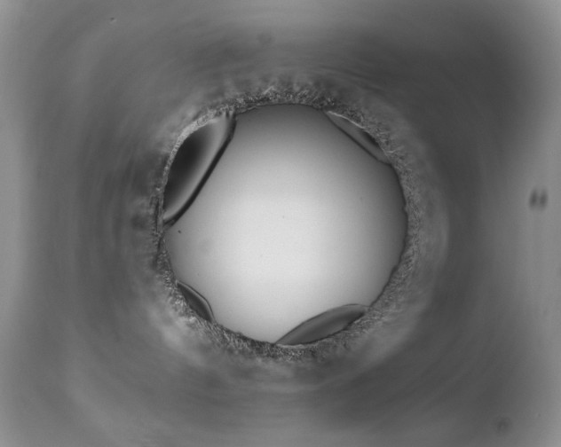 X0000112460144200908171212