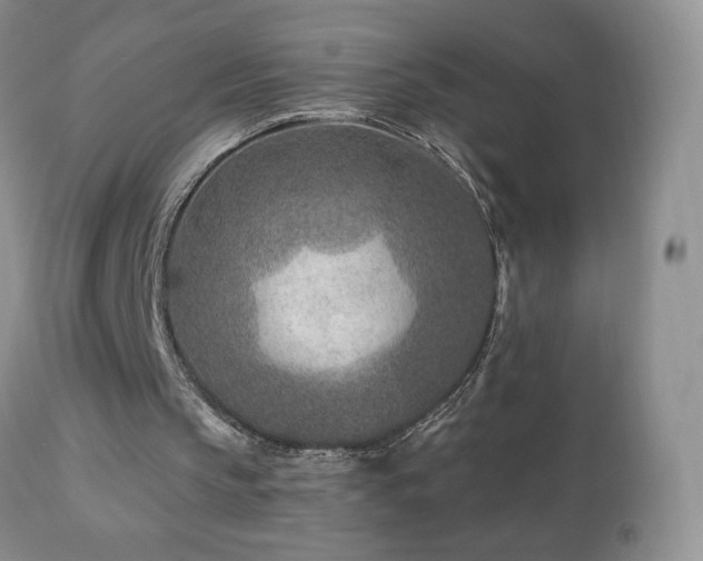 X0000112460145200908171211