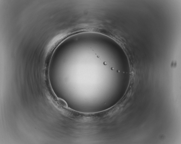 X0000112460149200908171211