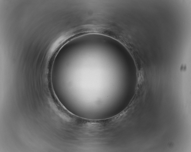 X0000112460150200908171211