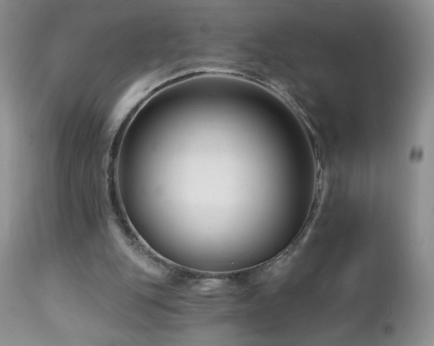 X0000112460151200908171211