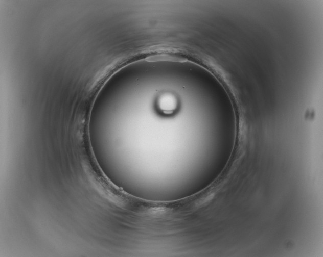 X0000112460153200908171211