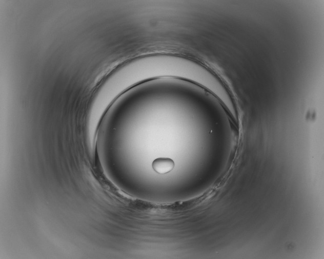 X0000112460154200908171211