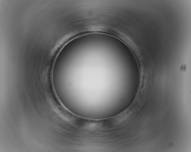 X0000112460155200908171211