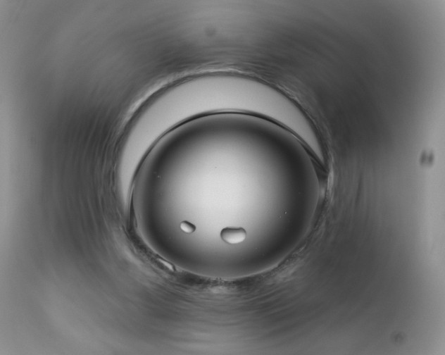 X0000112460156200908171211