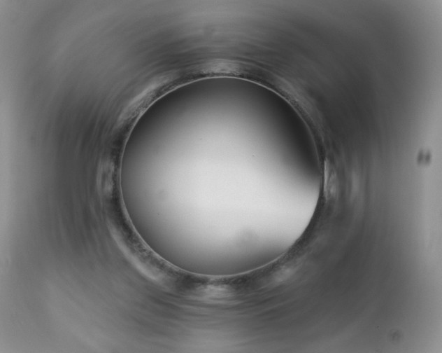 X0000112460157200908171211