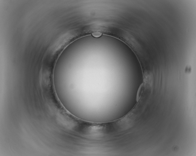 X0000112460158200908171211