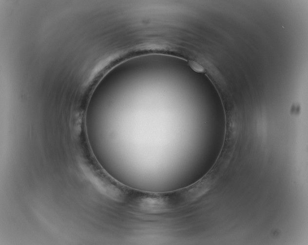 X0000112460160200908171211