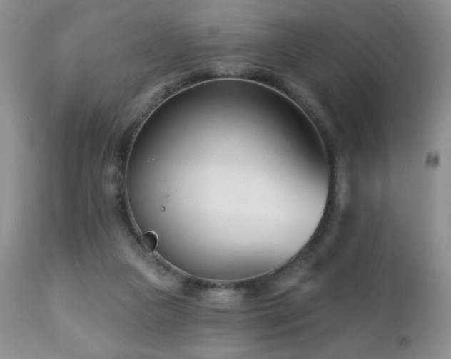 X0000112460161200908171211