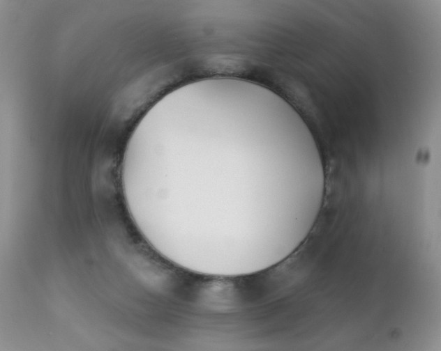 X0000112460162200908171211