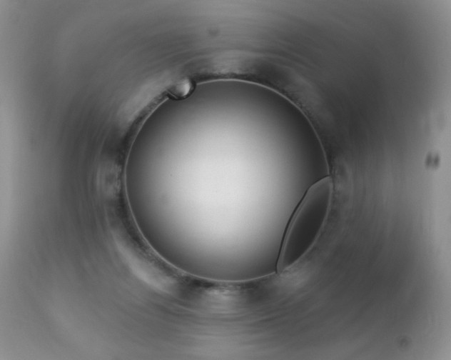 X0000112460164200908171211