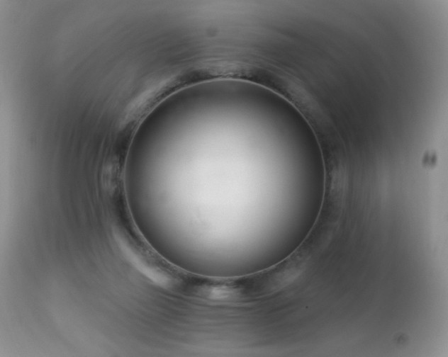 X0000112460165200908171211
