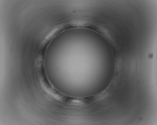 X0000112460167200908171211