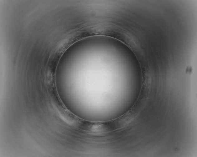 X0000112460173200908171212