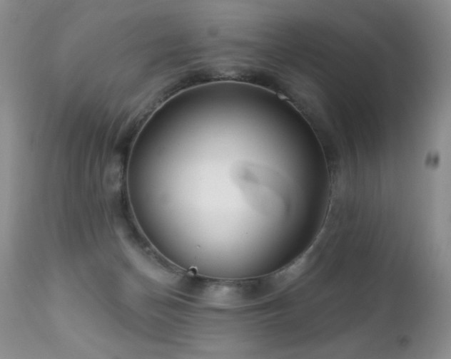 X0000112460174200908171212