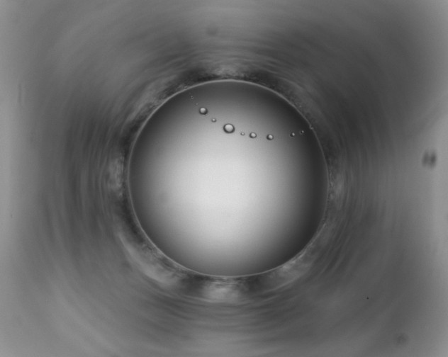 X0000112460175200908171212