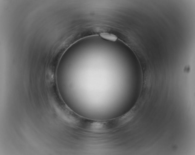 X0000112460176200908171212