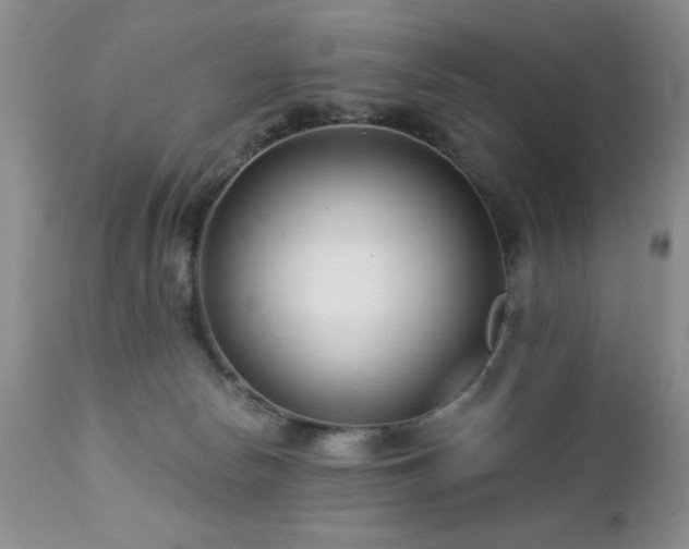 X0000112460178200908171212