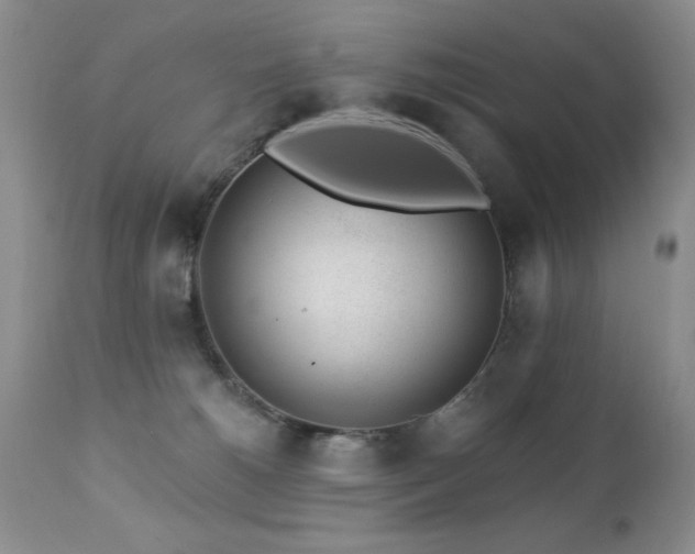 X0000112460180200908171212