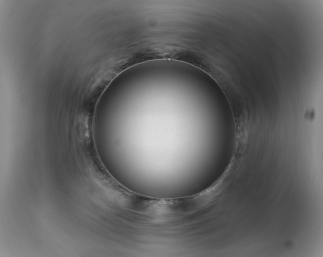 X0000112460182200908171212