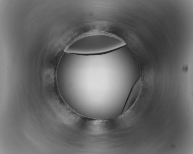 X0000112460184200908171212