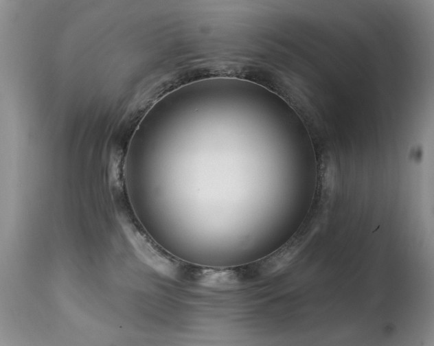 X0000112460185200908171212