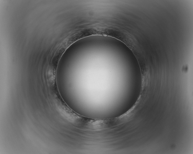 X0000112460186200908171212