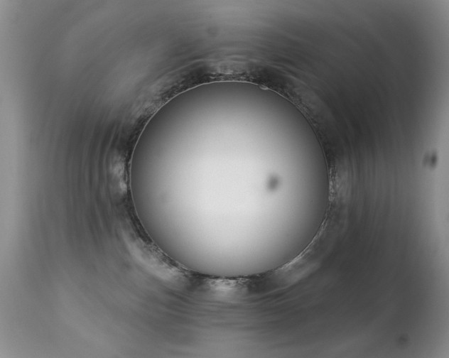 X0000112460187200908171212