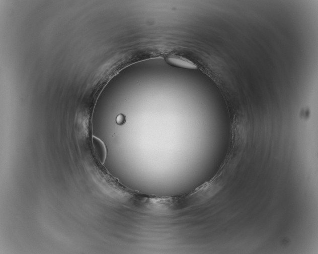 X0000112460188200908171212
