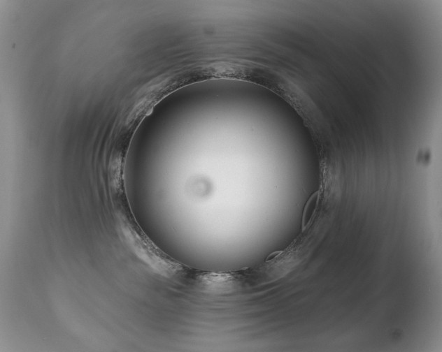 X0000112460189200908171212