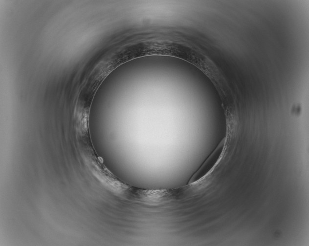 X0000112460191200908171212