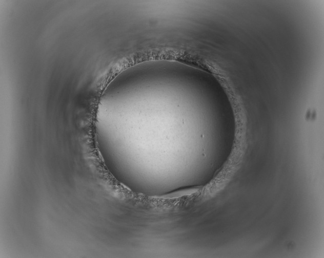 X0000112460192200908171212