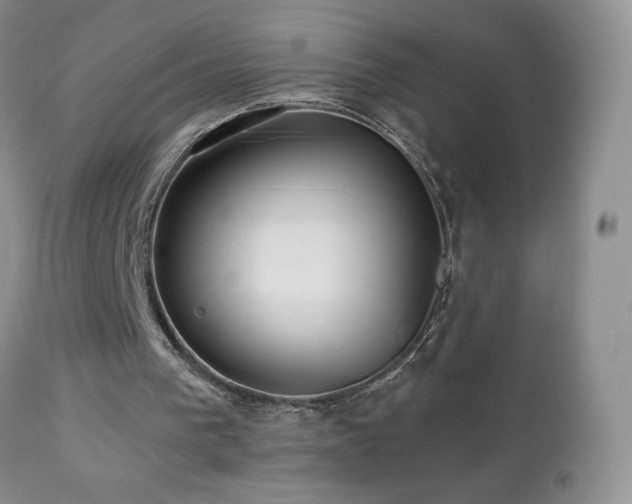 X0000112460193200908171211