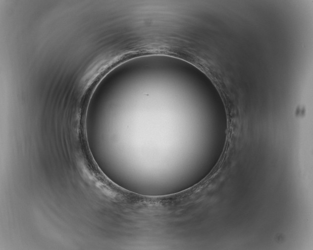 X0000112460194200908171211