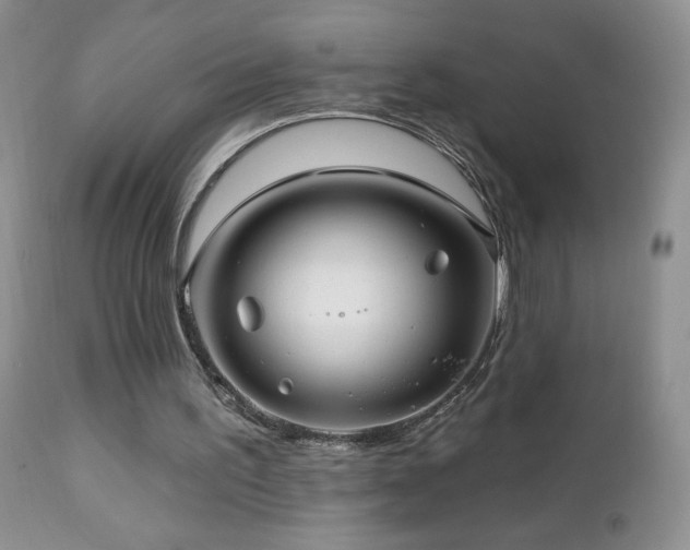X0000112460195200908171211