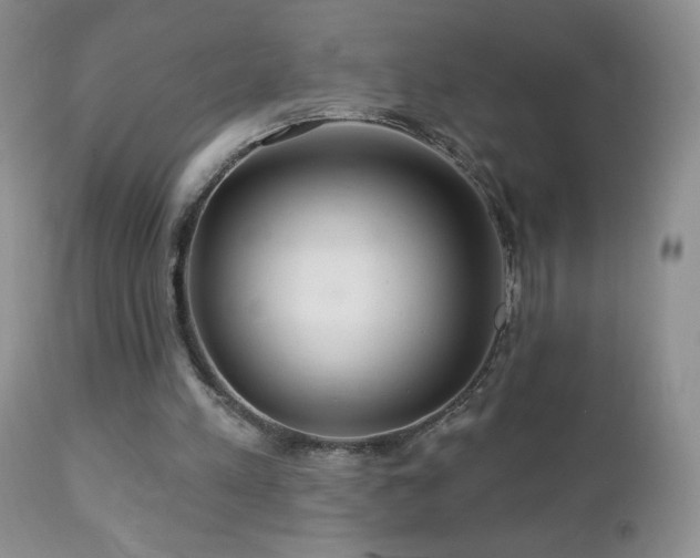 X0000112460197200908171211